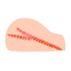 Kokos Juliana Masturbator -Obsessive Shop m01 002 02 11